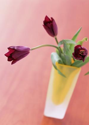 【最新情報】タカラスタンダード新宿ショールームの魅力とアクセス情報