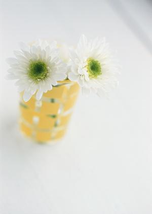 東京都立川のタカラスタンダード立川ショールーム：最新設備と便利なサービスを提供