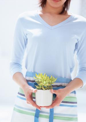 アンティーク品でも骨董品鑑定士に依頼